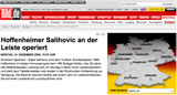 www.bild.de - Hoffenheimer Salihovic an Leiste operiert